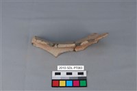 陶罐藏品圖，第1張