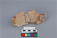 陶罐藏品圖，第2張