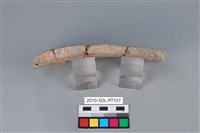 陶片藏品圖，第2張