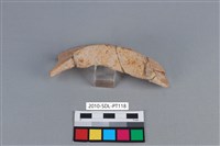 陶片藏品圖，第3張