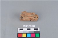 陶鼎足藏品圖，第2張