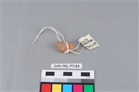 陶把藏品圖，第1張