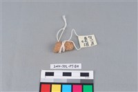 陶把藏品圖，第2張