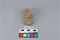 陶蓋鈕藏品圖，第3張