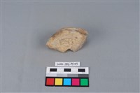 陶蓋鈕藏品圖，第2張