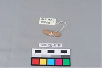 陶環藏品圖，第2張