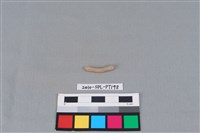 陶環藏品圖，第1張