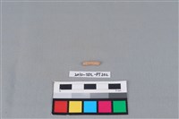 陶環藏品圖，第1張