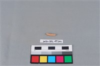 陶環藏品圖，第2張