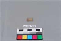 陶環藏品圖，第1張