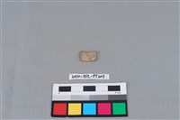 陶環藏品圖，第2張