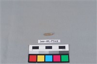 陶環藏品圖，第1張