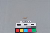 陶環藏品圖，第1張