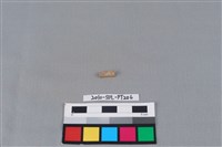 陶環藏品圖，第1張