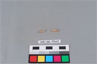 陶環藏品圖，第1張