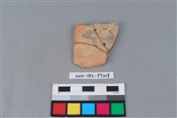 陶片藏品圖，第2張