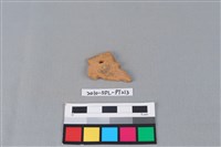 陶片藏品圖，第1張