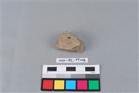 陶片藏品圖，第2張