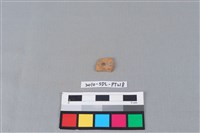 陶片藏品圖，第1張