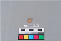 陶片藏品圖，第1張