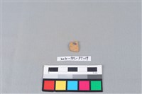 陶片藏品圖，第2張