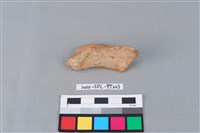 陶罐藏品圖，第2張