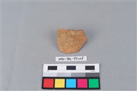 陶片藏品圖，第1張