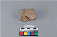 陶片藏品圖，第2張