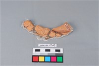 連杯形器藏品圖，第1張