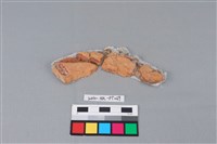 連杯形器藏品圖，第2張