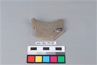 連杯形器藏品圖，第2張