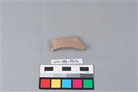 連杯形器藏品圖，第2張