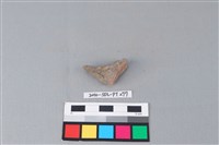 連杯形器藏品圖，第1張