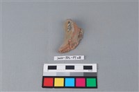 連杯形器藏品圖，第2張