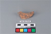 連杯形器藏品圖，第3張