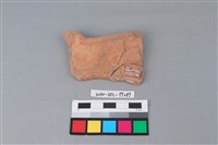 連杯形器藏品圖，第1張