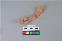 連杯形器藏品圖，第3張