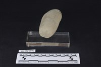 石鎚藏品圖，第3張