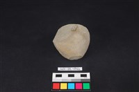 石鎚藏品圖，第4張