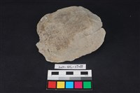 石片器藏品圖，第2張