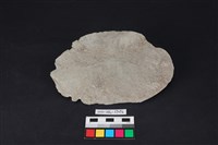 石片器藏品圖，第2張