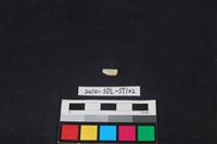 石器藏品圖，第1張