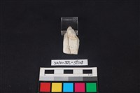 錛鑿形器藏品圖，第2張