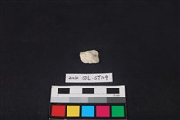 錛鑿形器藏品圖，第3張