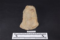 斧鋤形器藏品圖，第2張