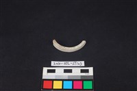 玉環藏品圖，第1張