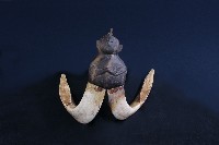 羊角飾物藏品圖，第1張