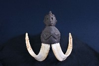 羊角飾物藏品圖，第1張