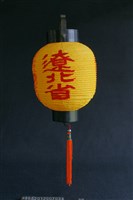 燈(遼北省)藏品圖，第1張