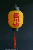 燈(貴州省)藏品圖，第1張